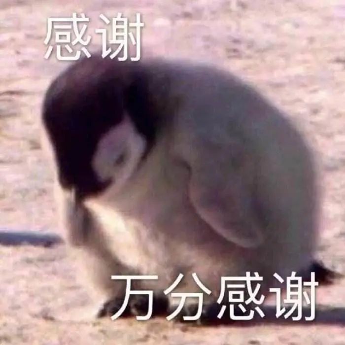 明确了! 暂停开放! 东莞这些人群取消春节假期!