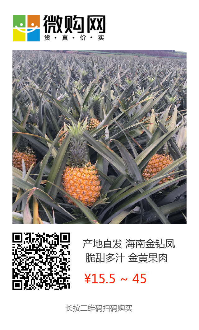 【海南直发15.5/箱】火爆！海南金钻凤梨，够甜不涩口，无需挖孔浸盐水，吃起来像切西瓜一样简单，再也不想吃菠萝了！