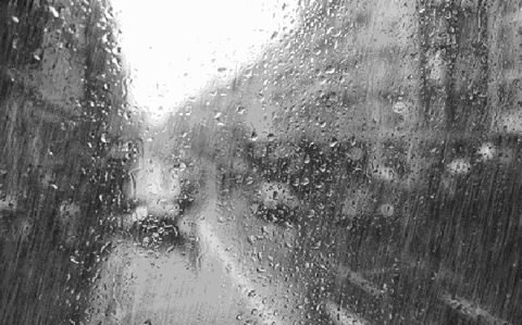 新一波冷空气今晚杀到！最低10°C，东莞春节天气是……