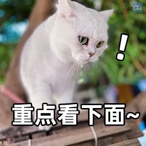 “丝路玉兰”来啦！东莞这座地标大桥预计4月试通车！