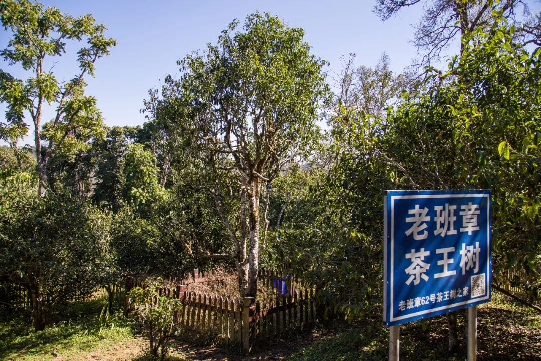 嘘！这份“品质年货5折购”清单记得自己偷偷看...