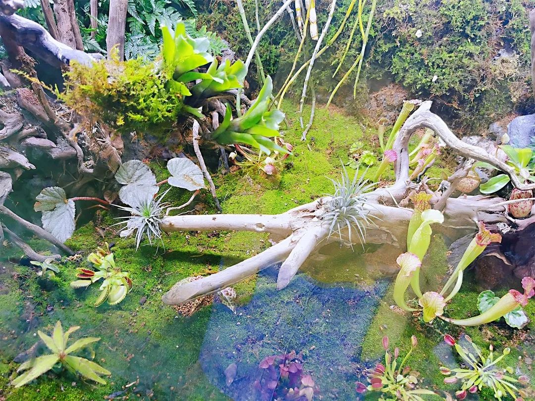 假期攻略已上线！门票19.9起玩转东莞景区！飞鸭开心农场、隐贤山庄、雨林探秘，空气湃...