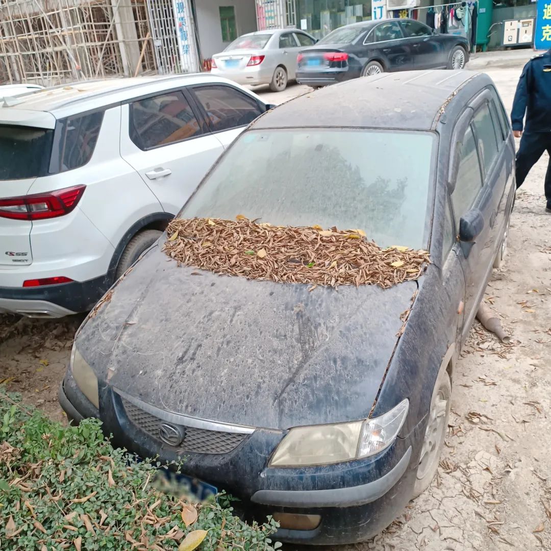 大快人心！东莞这些废弃“僵尸车”，被整治了！