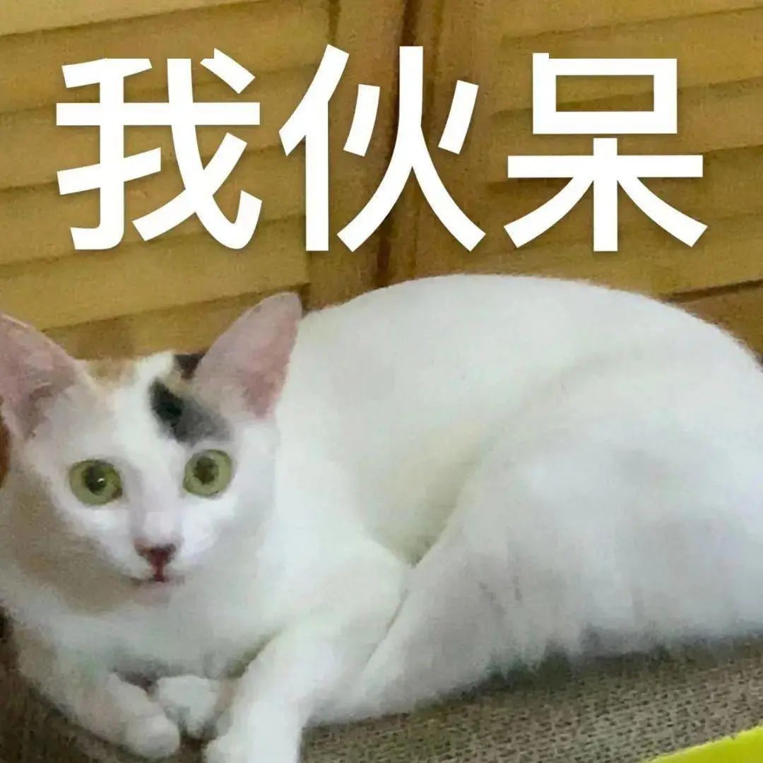东莞一18岁女生吃麻辣烫，竟将17厘米长的勺子吞下肚……