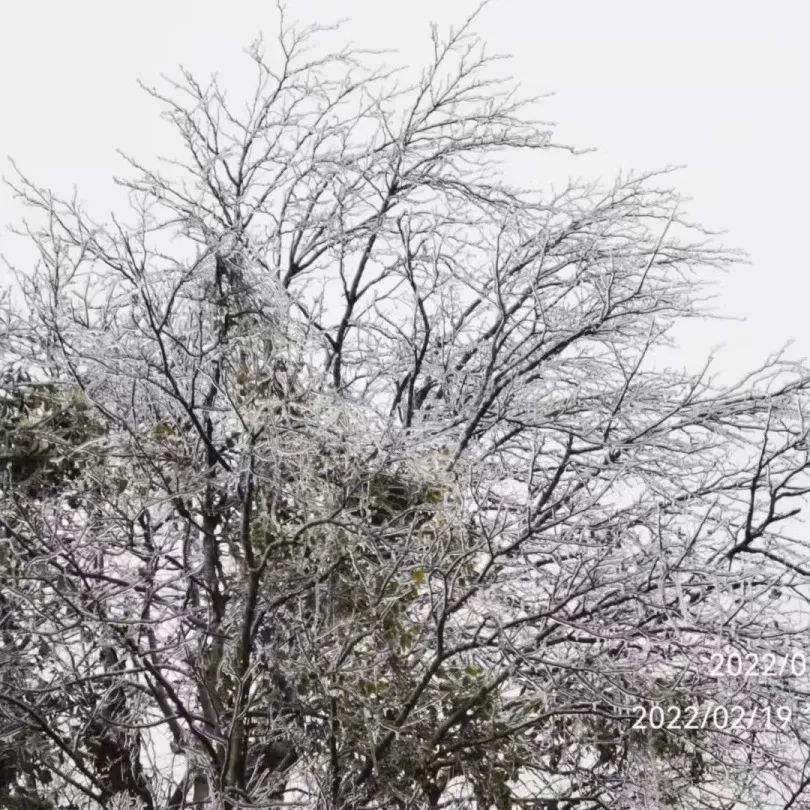 广东下雪了！东莞发布寒冷橙色预警，东莞有人差点送命，接下来...
