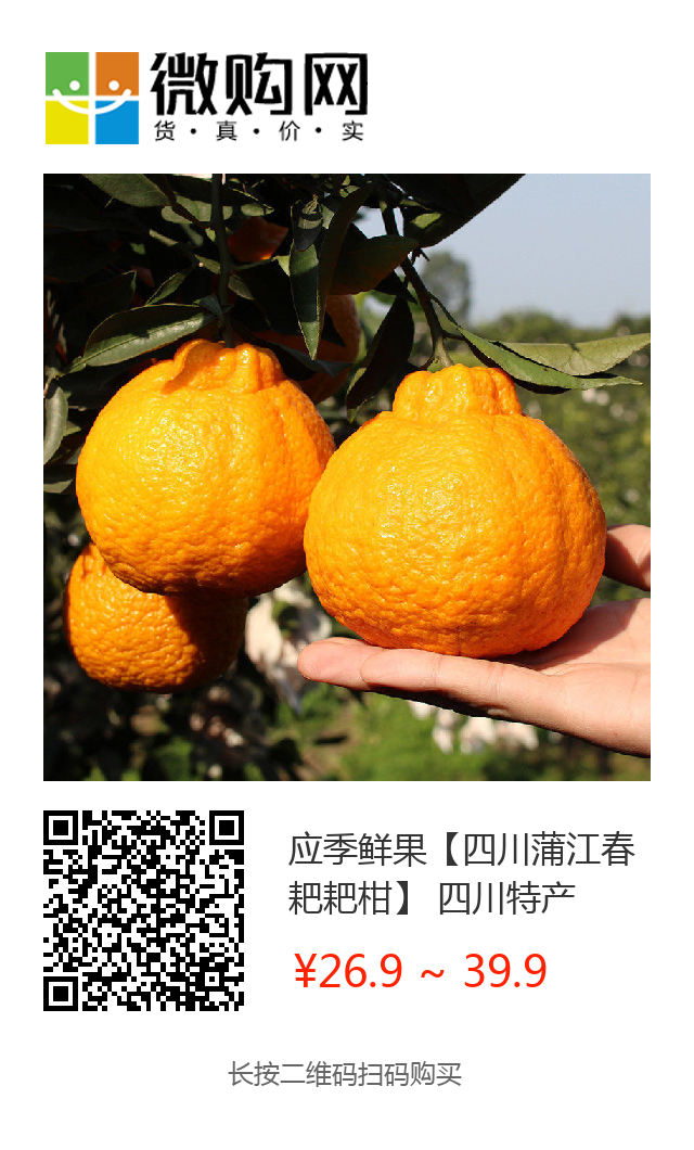 春天吃正甜！树上熟四川蒲江现摘【春见粑粑柑】26.9元/箱包邮到家！
