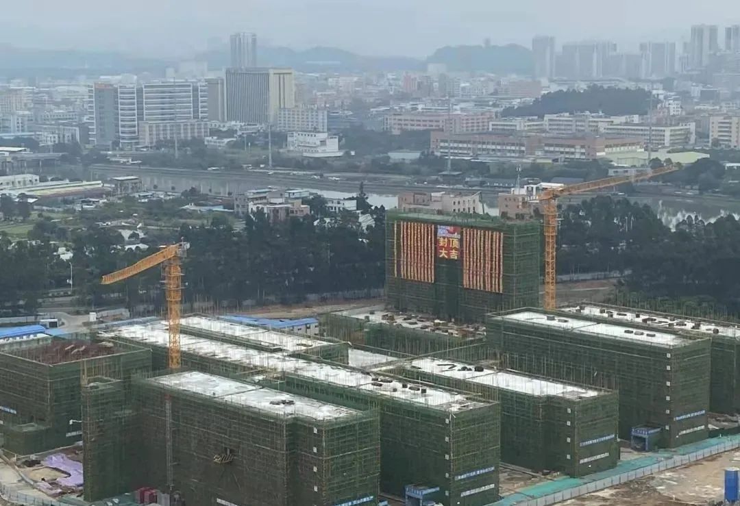 投资超9亿元！东莞新增多所公办学校！