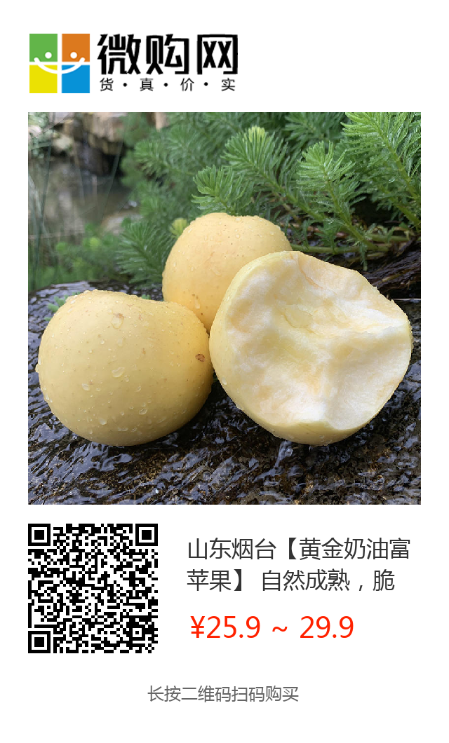 00多万斤黄金奶油富士成熟待摘，甘甜脆爽，金黄诱人，25.9元/整箱直达到家！"