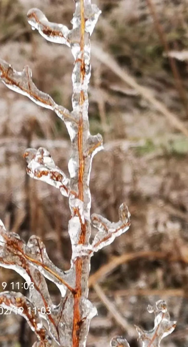 广东下雪了！东莞发布寒冷橙色预警，东莞有人差点送命，接下来...