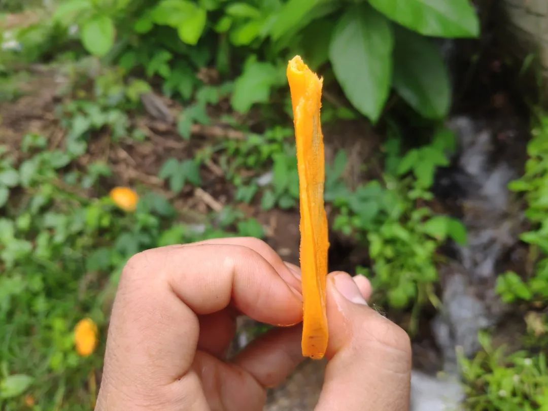 早春尝鲜！海南小台农甜蜜上市，香甜爽滑，29.9/箱新鲜直达！