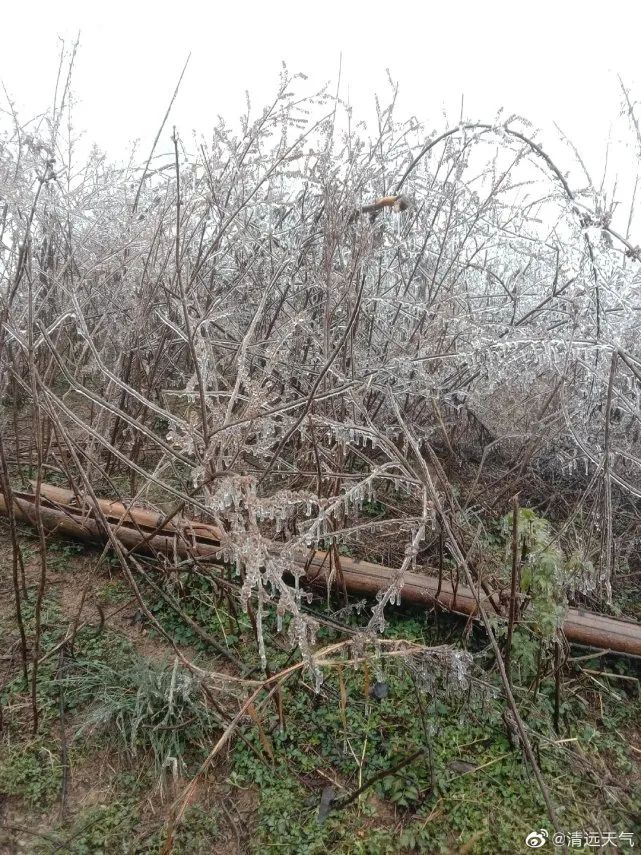 广东下雪了！东莞发布寒冷橙色预警，东莞有人差点送命，接下来...