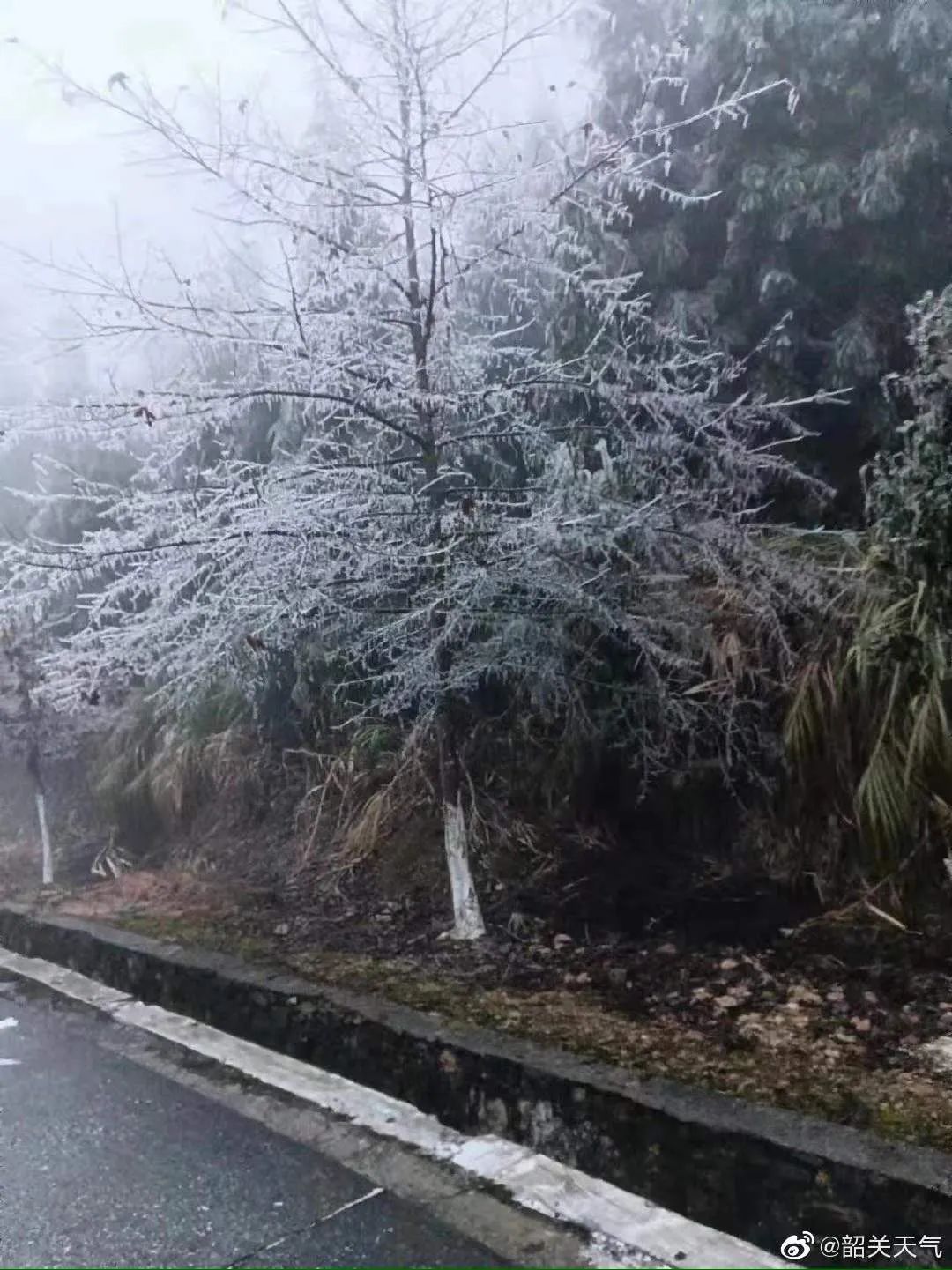 广东下雪了！东莞发布寒冷橙色预警，东莞有人差点送命，接下来...