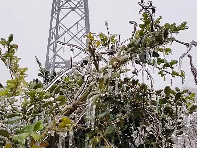 广东下雪了！东莞发布寒冷橙色预警，东莞有人差点送命，接下来...