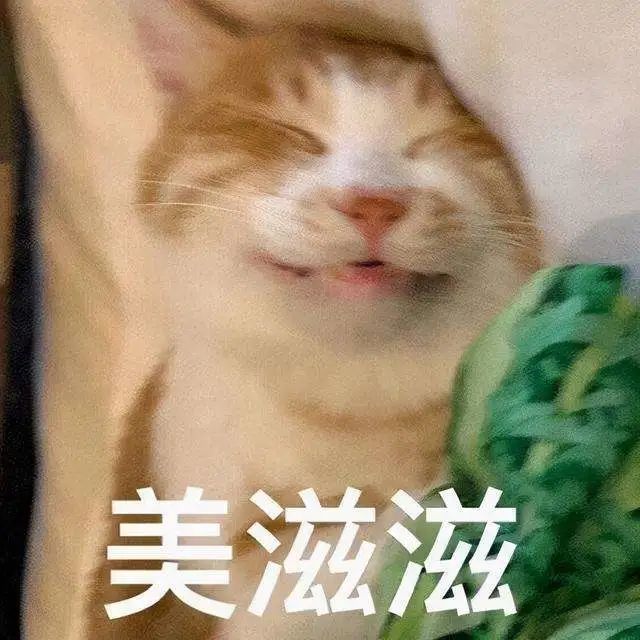 拿出短袖啦！从明天开始！东莞开启“四季”模式！至于“回南天”......