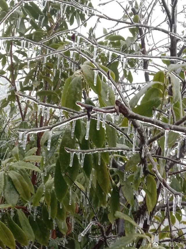 广东下雪了！东莞发布寒冷橙色预警，东莞有人差点送命，接下来...