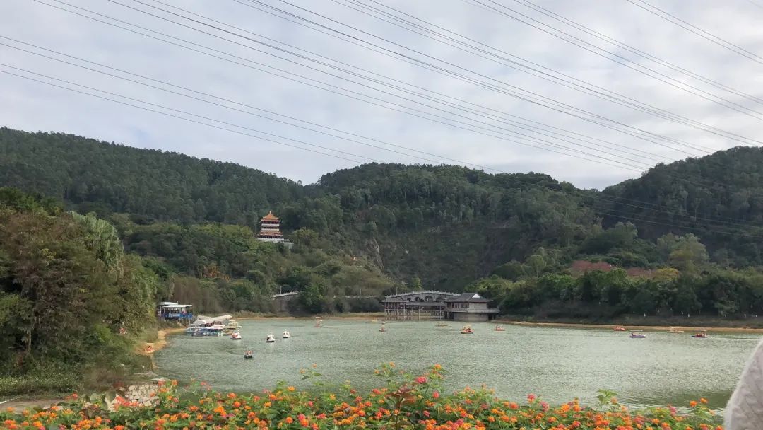 0年来最冷春节！东莞多镇街开放应急避护场所！转给要需要的人..."