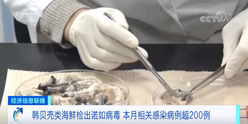 已超200人感染！别生吃！