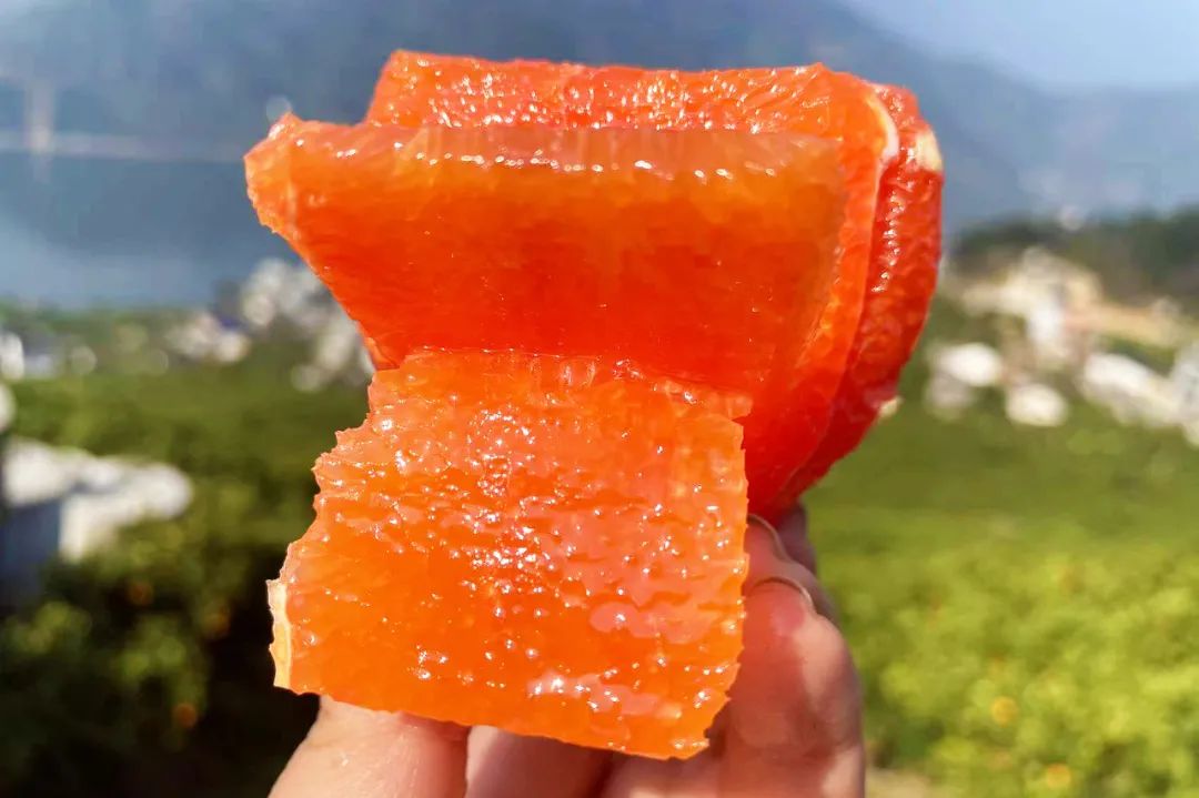不知道水果也会“流血”？我赌你没吃过血橙！