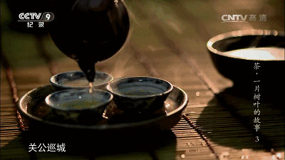 “广东人到底有多爱喝茶？？” 哈哈哈哈哈真的太致命了！