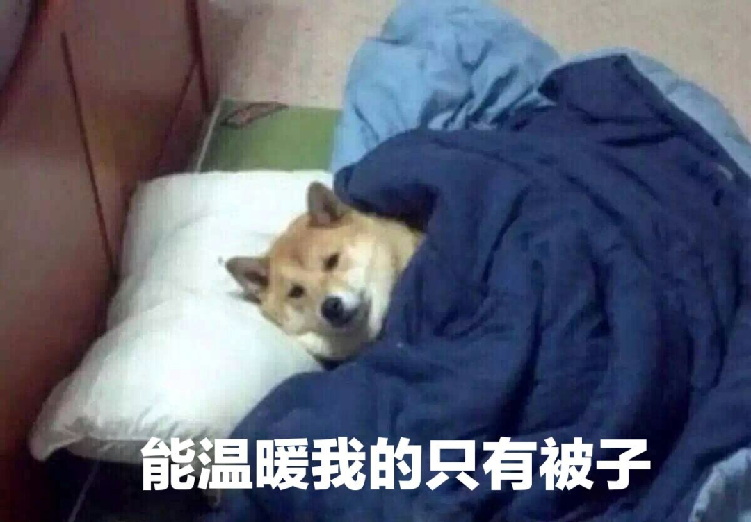 不是吧! 东莞要下雪了? 朋友圈都在刷屏!