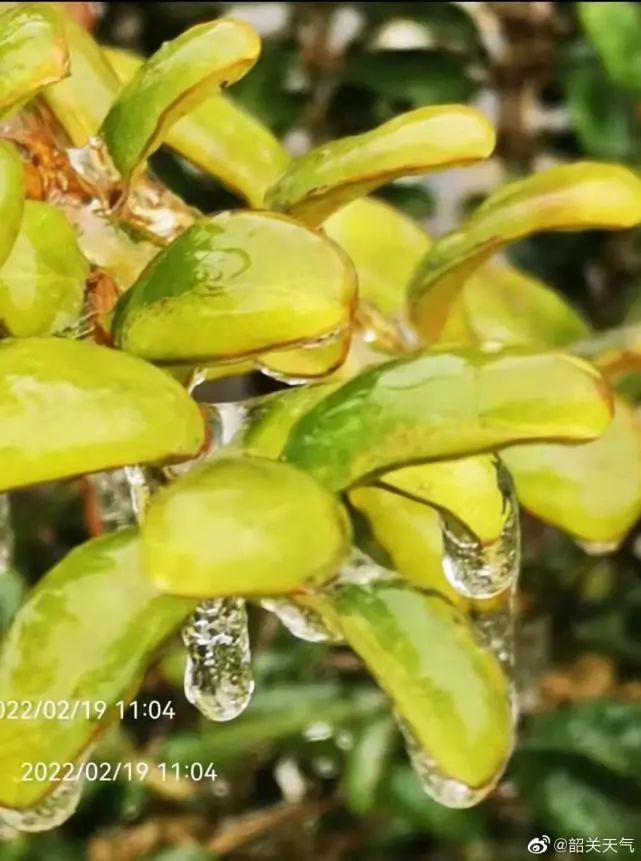 广东下雪了！东莞发布寒冷橙色预警，东莞有人差点送命，接下来...