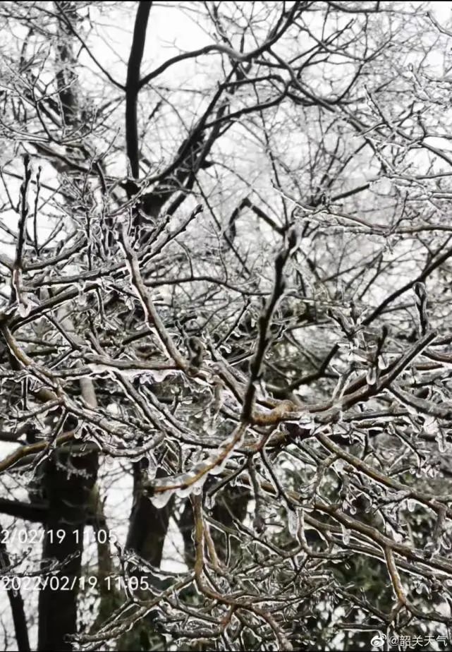 广东下雪了！东莞发布寒冷橙色预警，东莞有人差点送命，接下来...