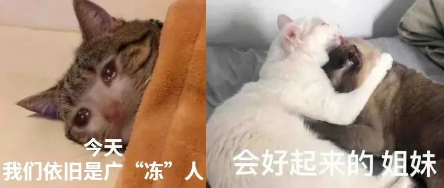 不是吧! 东莞要下雪了? 朋友圈都在刷屏!