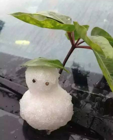 不是吧! 东莞要下雪了? 朋友圈都在刷屏!