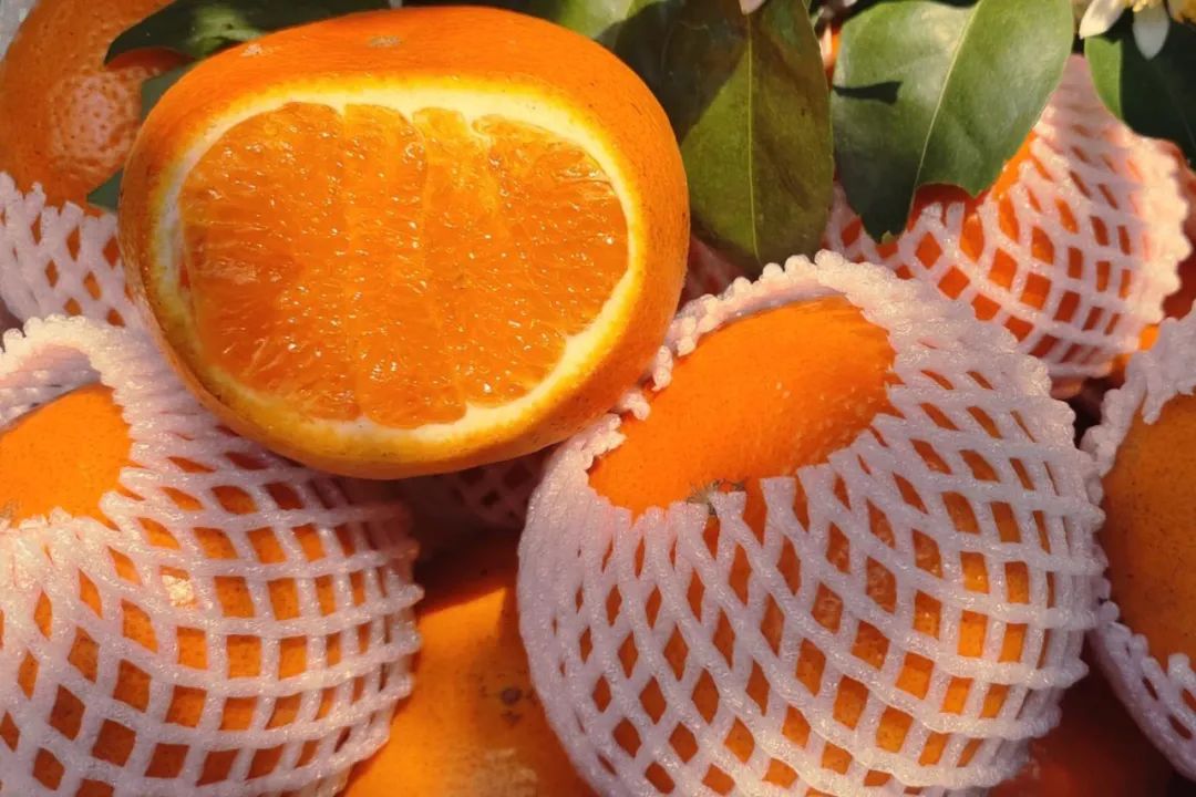 福建茂谷柑踏春而来，超甜22.9/箱！每一口都甜蜜多汁，引人回味~