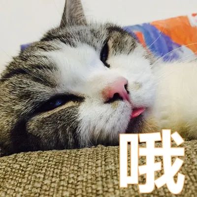 拿出短袖啦！从明天开始！东莞开启“四季”模式！至于“回南天”......