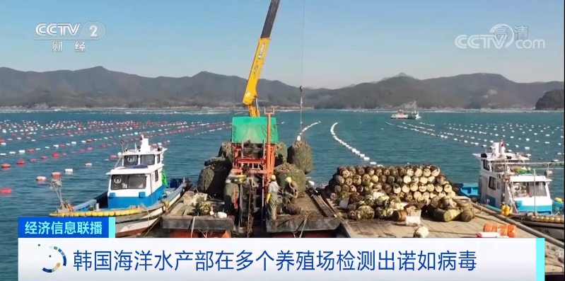 已超200人感染！别生吃！
