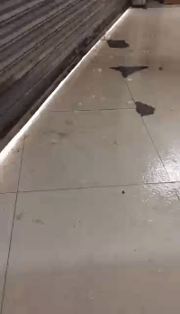 突发！东莞冰雹橙色预警已生效！回南天+雨雨雨，东莞人：太南了……