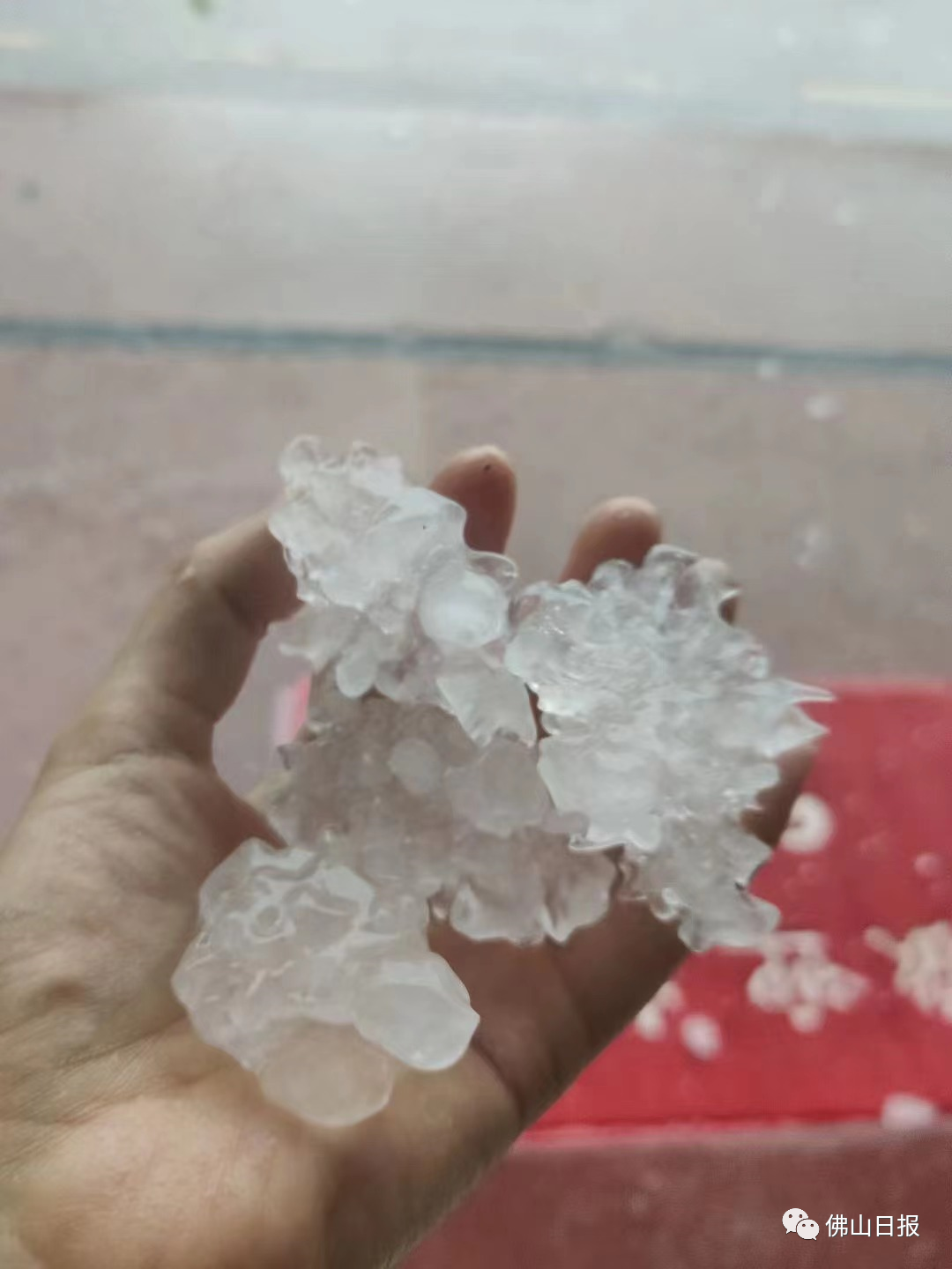 突发！东莞冰雹橙色预警已生效！回南天+雨雨雨，东莞人：太南了……