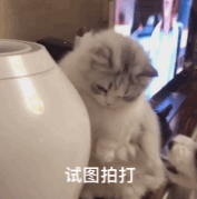 粤S注意！四连涨！