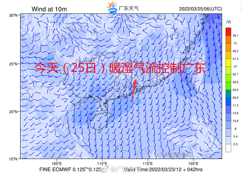 突发！东莞冰雹橙色预警已生效！回南天+雨雨雨，东莞人：太南了……