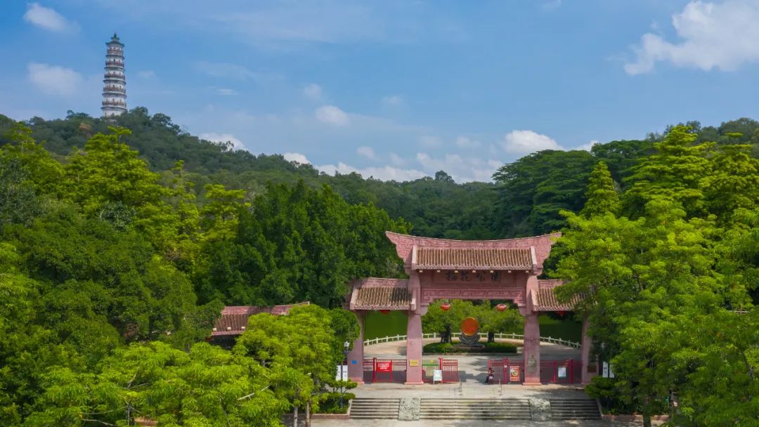 小区解封? 可以堂食? 可以正常上班? 可以离莞返莞? 权威回应来了!