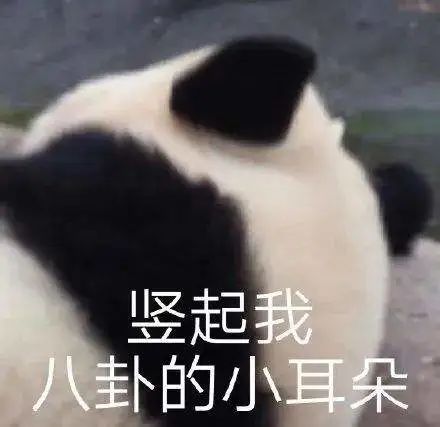 电动自行车车主注意了！东莞交警严查！
