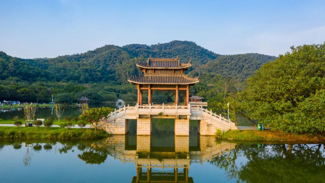 小区解封? 可以堂食? 可以正常上班? 可以离莞返莞? 权威回应来了!