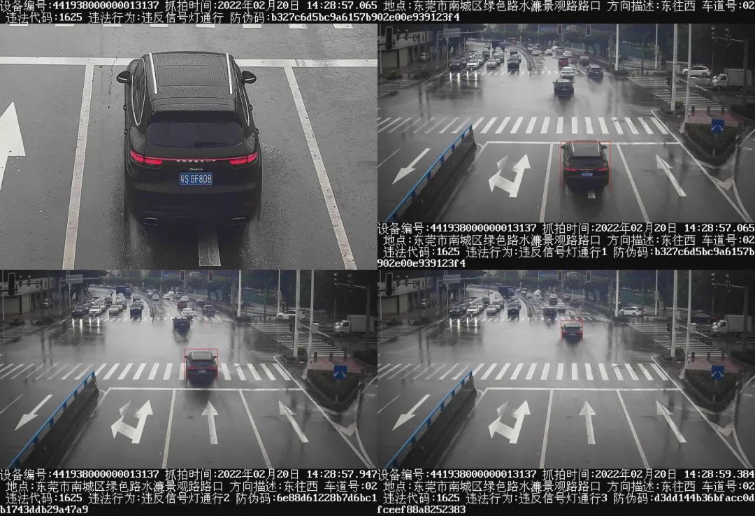 粤S***！你们闯红灯被拍了！