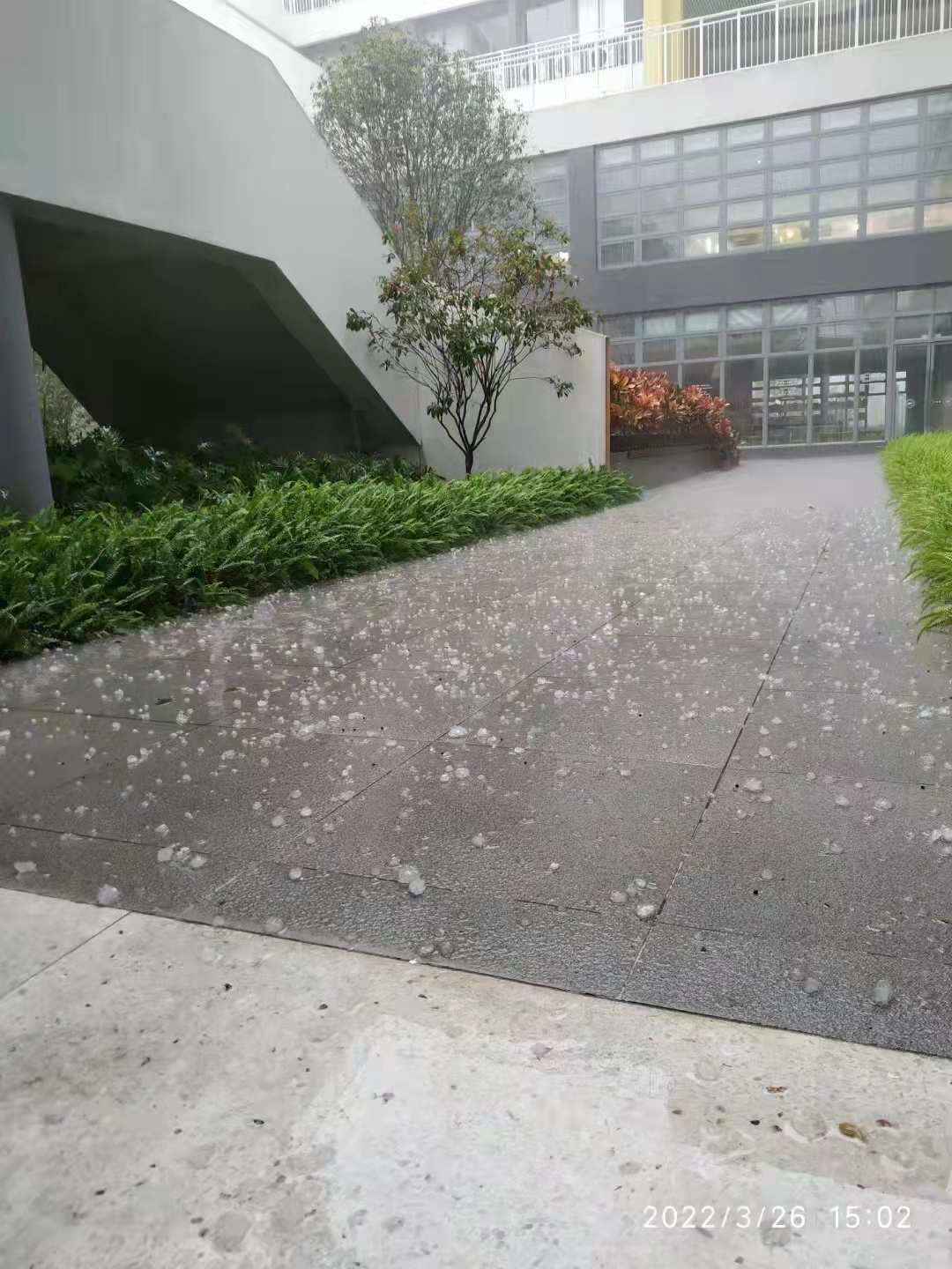 突发！东莞冰雹橙色预警已生效！回南天+雨雨雨，东莞人：太南了……