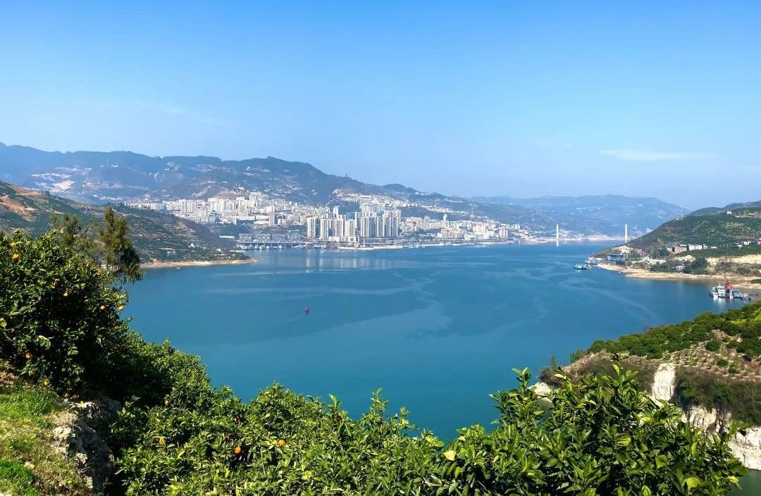 可以“喝着吃”的奉节脐橙29.9/箱，鲜嫩多汁 ，入口化渣，果农们肩挑背扛的大山好果！
