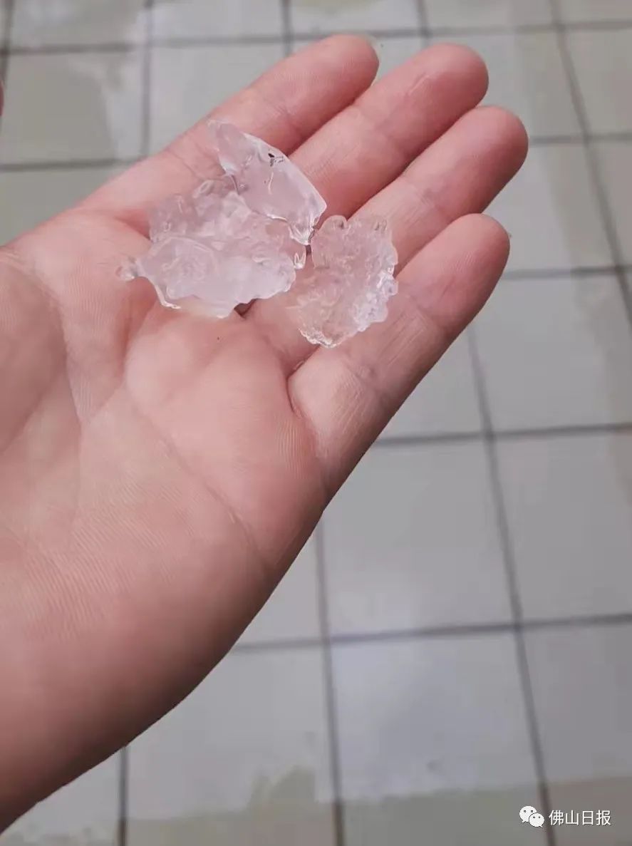 突发！东莞冰雹橙色预警已生效！回南天+雨雨雨，东莞人：太南了……