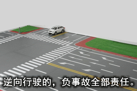 竟然逆行！这些粤S必须曝光！