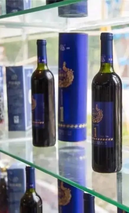 现摘现吃！藏在东莞水乡的蓝莓乐园，现在采摘正当时，65元抢门票！
