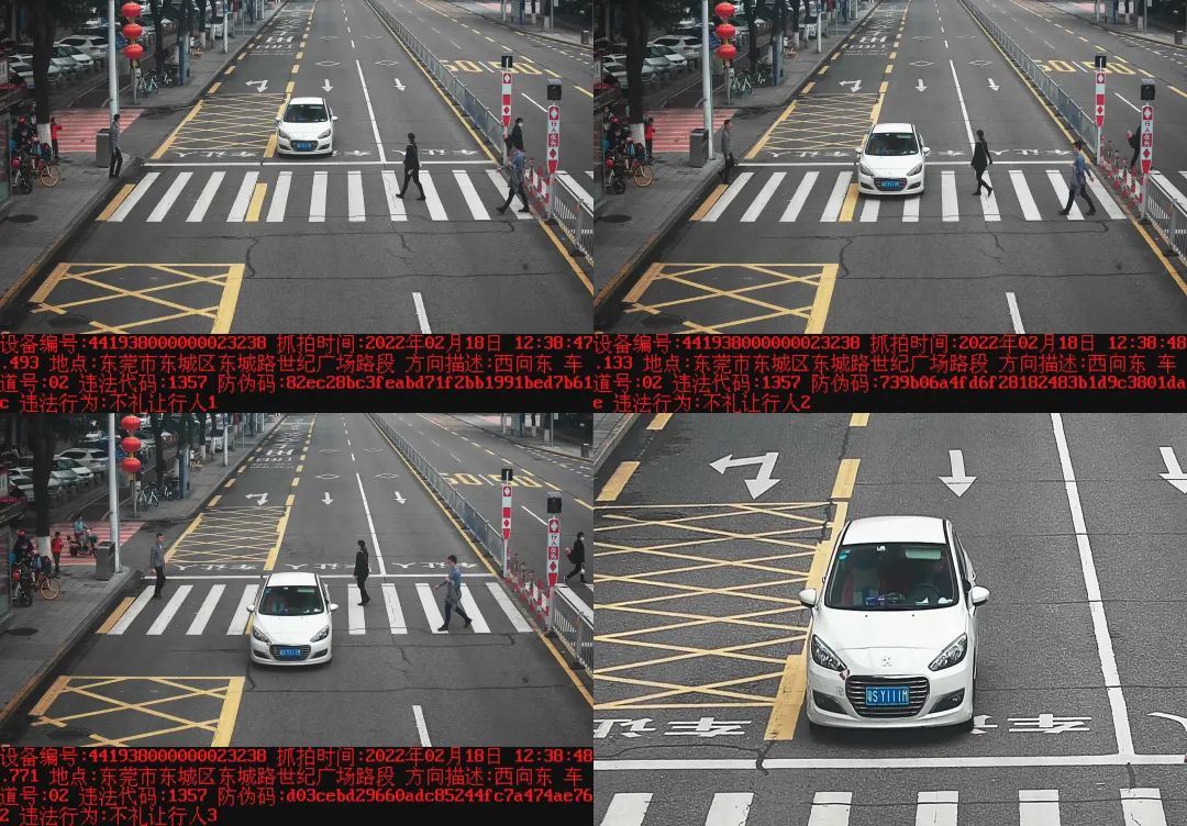 @​粤S*****司机！你被东莞交警曝光了！