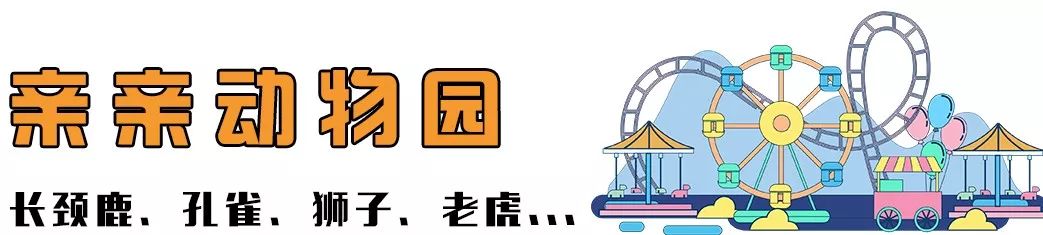 首发！东莞超大型『水上乐园』热辣归来，早鸟票69.9元1大1小享冰爽潮玩节！