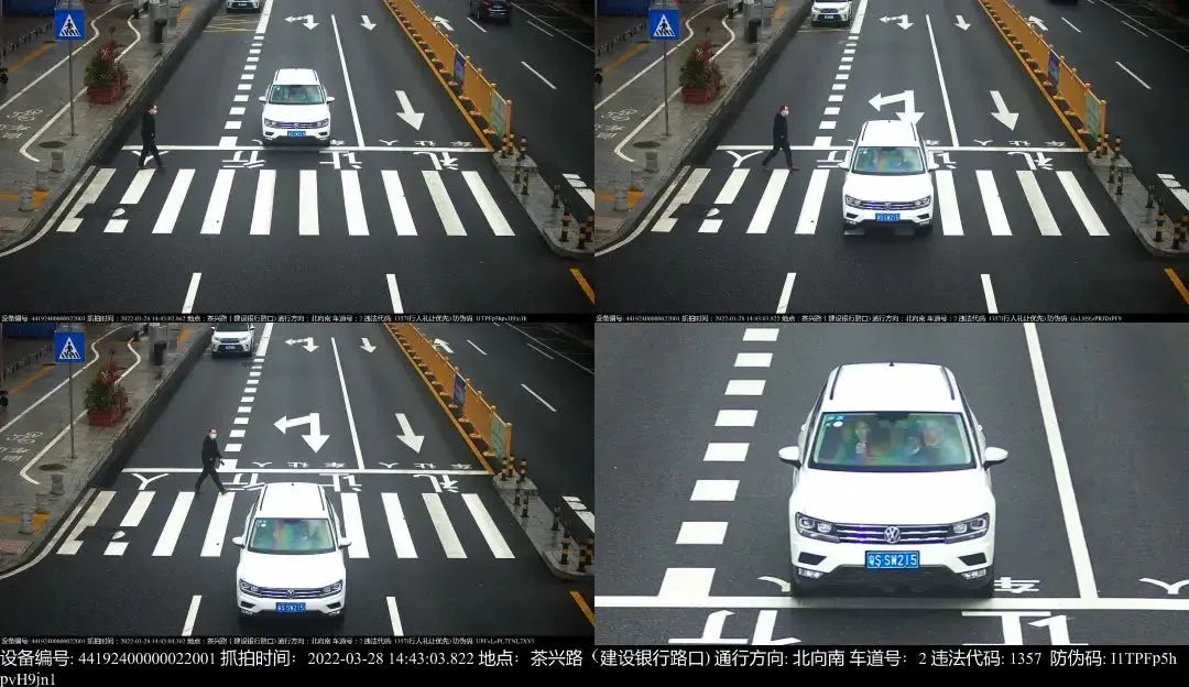 @​粤S*****司机！你被东莞交警曝光了！