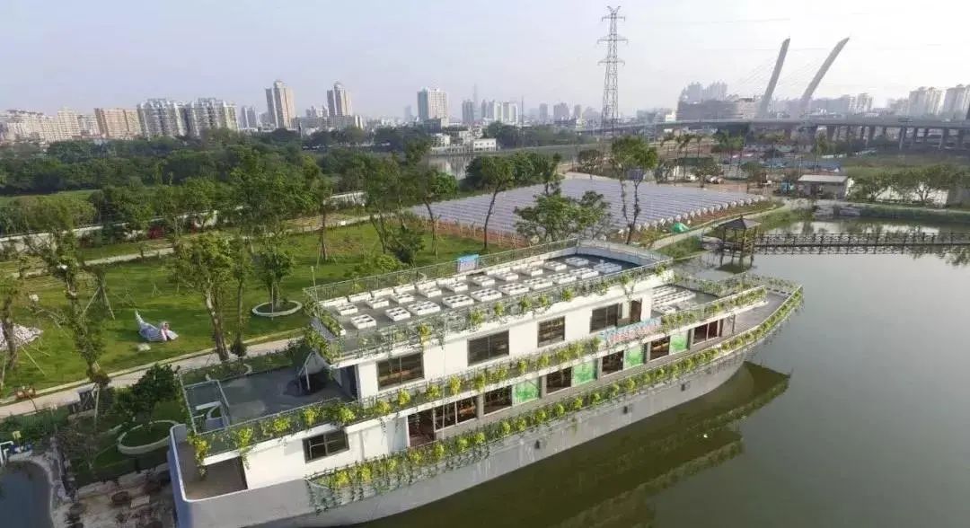 周末通用！东莞最新采摘地，88元1大1小，嘉宝果畅吃+东江印象门票！