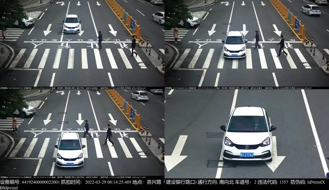 @​粤S*****司机！你被东莞交警曝光了！