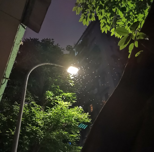 早点回家！东莞开启暴雨+雷暴+大风模式！还有东莞人最害怕的回来了.....